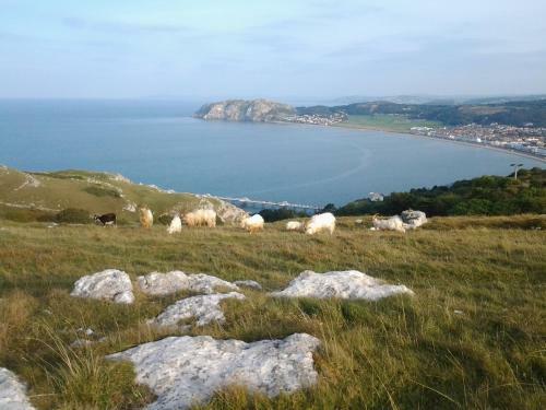 Hostal Clifton Villa Guest House