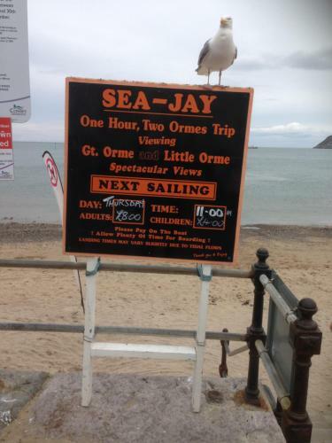 Hostal Clifton Villa Guest House