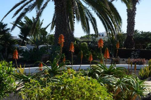 Home Casa Sue�o In The Village Of Mala