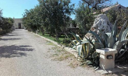 Agroturismo Masseria Suc�a