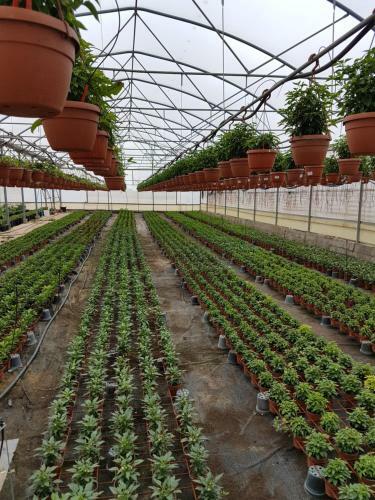 Agroturismo Masseria Suc�a