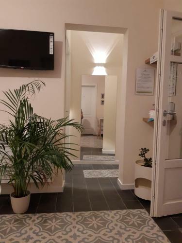 Bed & Breakfast San Domenico Casa Vacanze