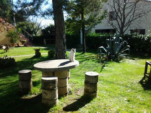 Agroturismo Agriturismo Il Capannone