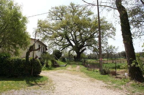 Agroturismo Agriturismo Il Capannone
