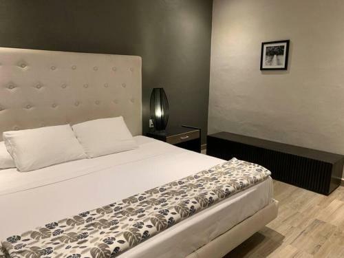 Casa Boox Jaguar