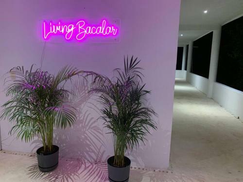 Casa Boox Jaguar