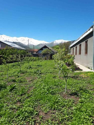 Hostal Tatev Emma B&B
