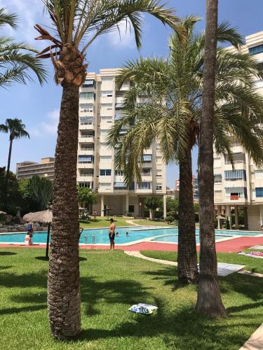Apartamento Playa Dos Avenidas
