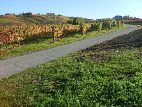 Agroturismo Cascina Longoria