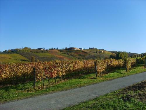 Agroturismo Cascina Longoria