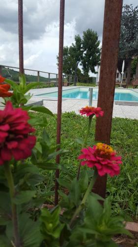 Agroturismo Cascina Longoria