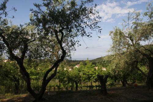 Apartamento Villa Tresino Appartamenti