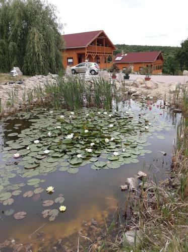 Apartamento R�zsapark Panor�ma-apartman