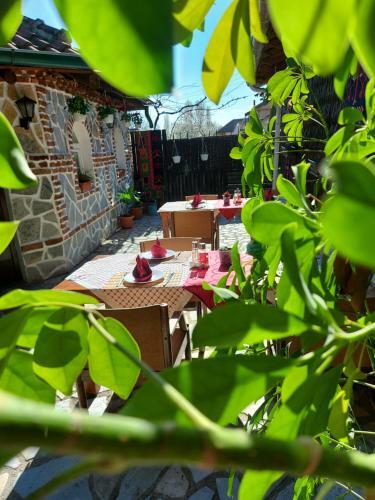 Apartamento Villa Sv.petka