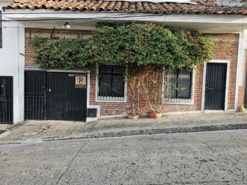 Apartamento Parrot Blue Ray San Antonio
