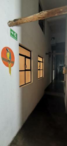 Apartamento Parrot Blue Ray San Antonio