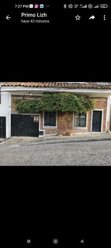 Apartamento Parrot Blue Ray San Antonio