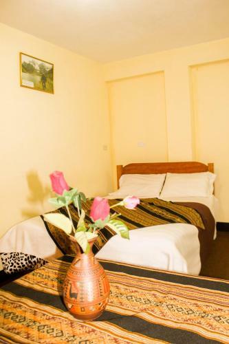 Bed & Breakfast Amazing Huaraz