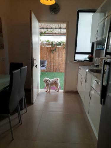 Apartamento ?????? ?????- ??? ?????