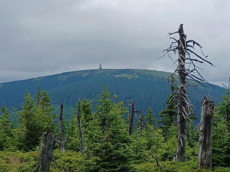 Apartm�n Pod Sjezdovkami