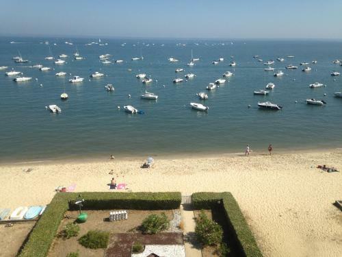 Apartamento Studio Cabine Plage Juste En Bas