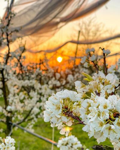 Agroturismo Tenuta Fasanarella