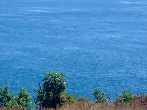 Private Cliff Side Villa With Endless Ocean Views