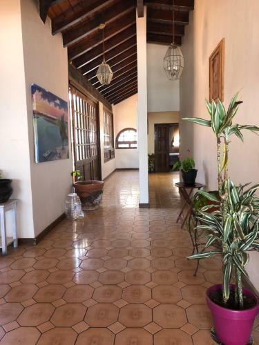 Ocean Front Antique House, Private Beach!