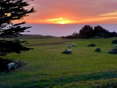 Cooks Beach House Home