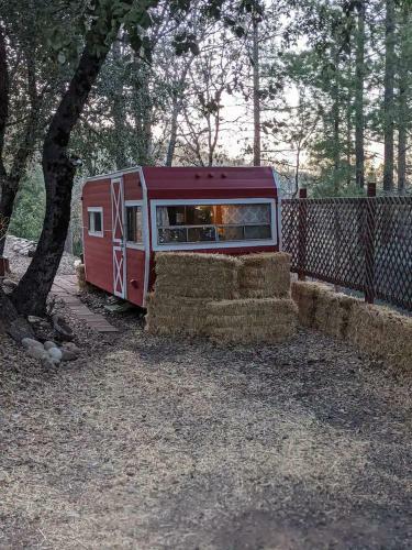 The Chick Inn - Eco-friendly Glamping