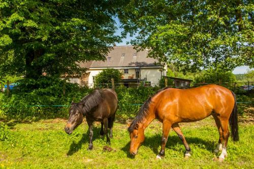 Hostal Chez L'gaby - Vivre � La Ferme