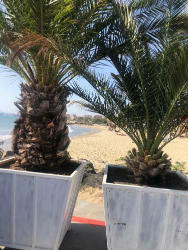 Apartment Sunny Beach Plaza 100 M Sea