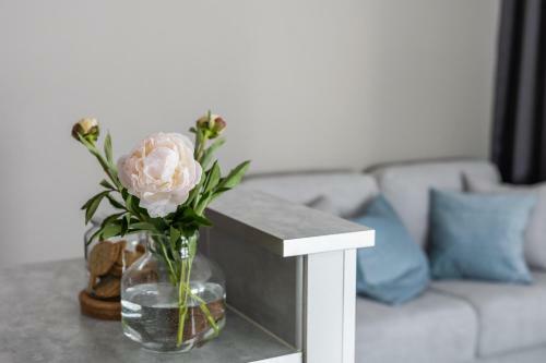 Apartamento Arctic Starry City Suite