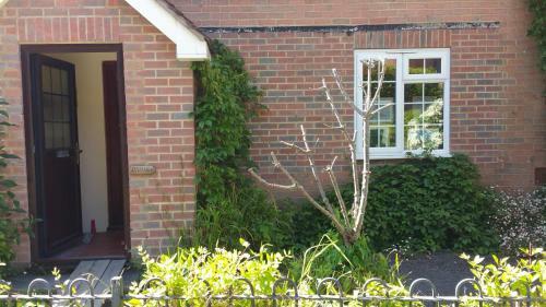 Central Child Okeford Spacious Apartment - The Old Shop