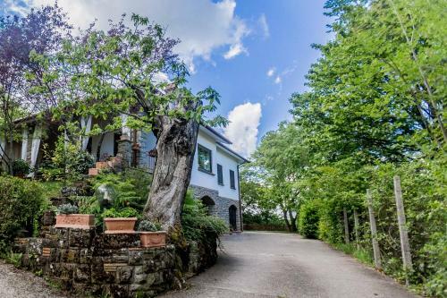 Bed & Breakfast Il Boschetto Di Castagni