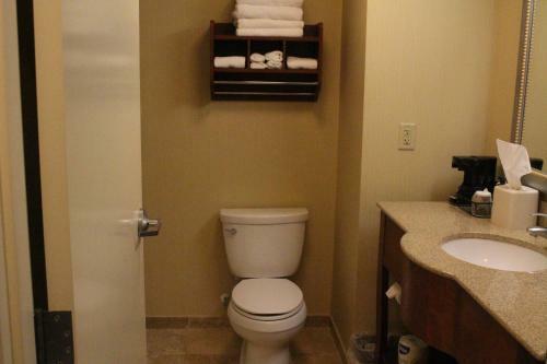 Hotel Hampton Inn Smith Mountain Lake/gretna