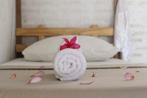 Albergue Jungle House - Surf & Stay