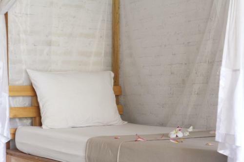 Albergue Jungle House - Surf & Stay