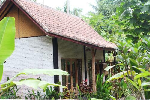 Albergue Jungle House - Surf & Stay