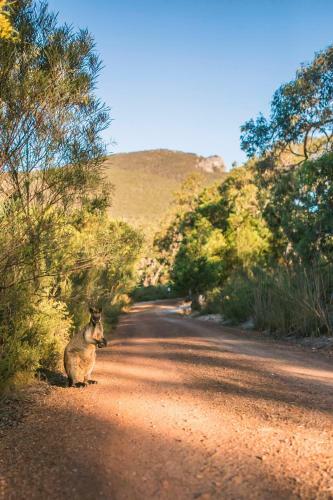 Aquila Eco Lodges