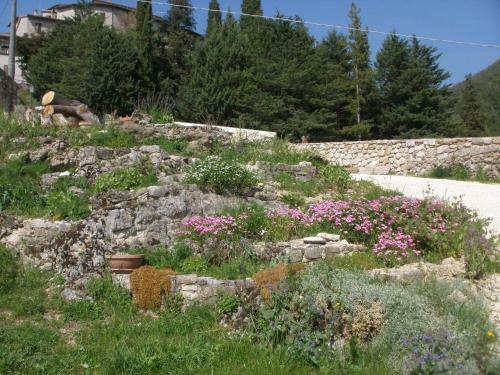 Agroturismo Agriturismo Zafferano E Dintorni