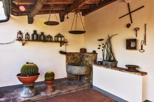 Agroturismo Agriturismo Olmi Grossi