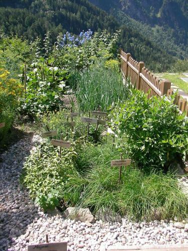 Apartamento Appartements Sonngarten
