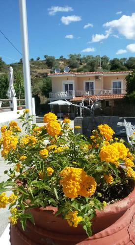 Apartamento Studios Kyriaki