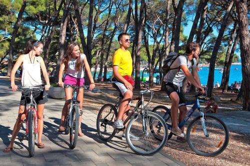 Happy Apartments, Biograd