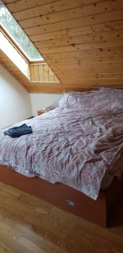 Predeal Cioplea Apartament 4 Camere