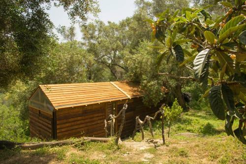 Pelekas Olive Grove Glamping Oasis No4