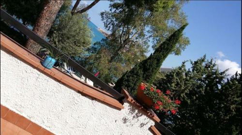 Apartamento Laguna Blu Casa Sul Mare