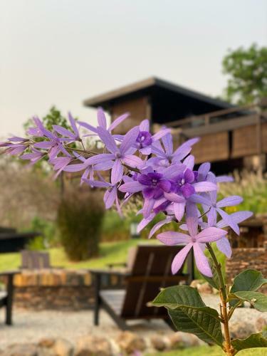 98 Mae Ram Residence