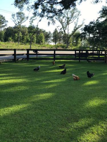 Hostal Little Farm House At Stagecoach Landing